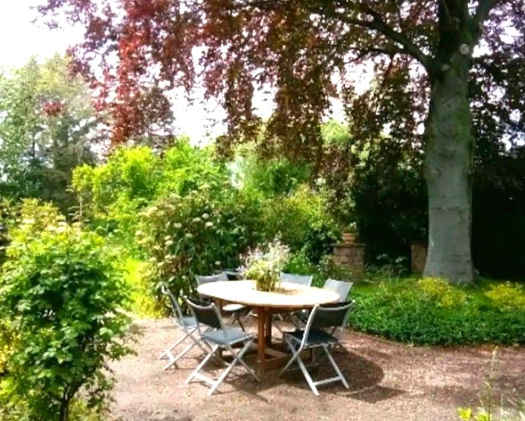 Ferienhaus Dr. Mueller Meißen 외부 사진