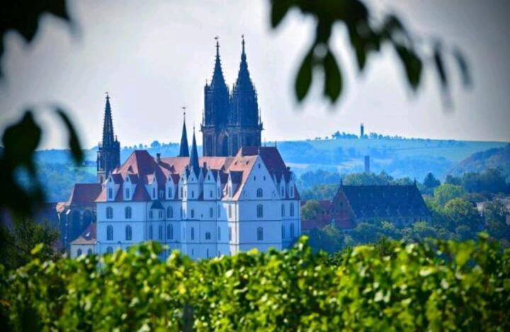 Ferienhaus Dr. Mueller Meißen 외부 사진
