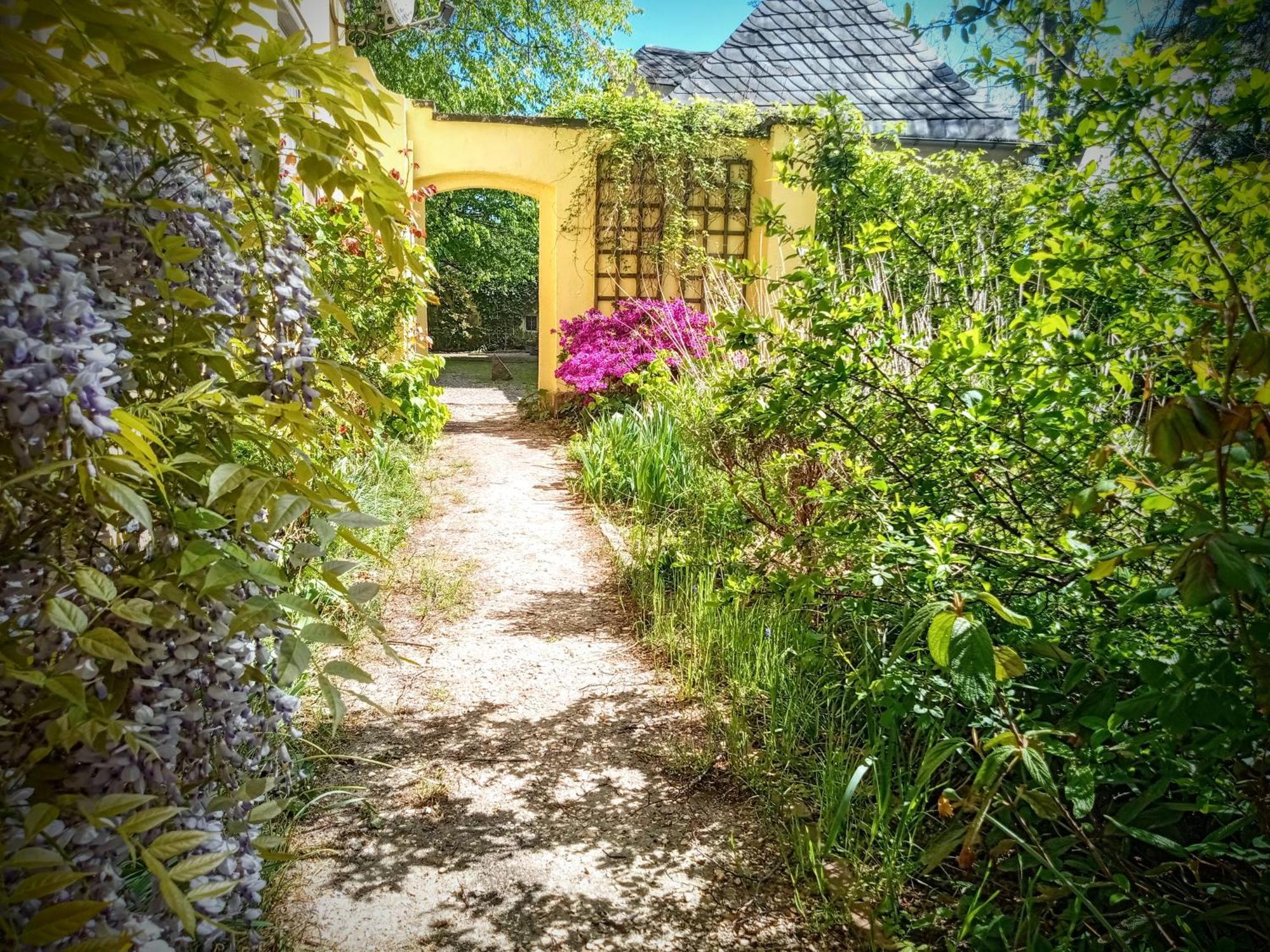 Ferienhaus Dr. Mueller Meißen 외부 사진